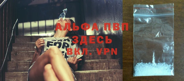 мяу мяу мука Аркадак