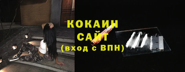 мяу мяу мука Аркадак