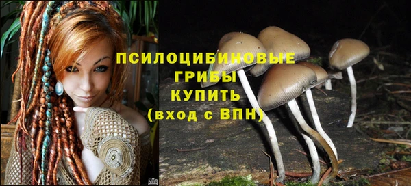 a pvp Арсеньев