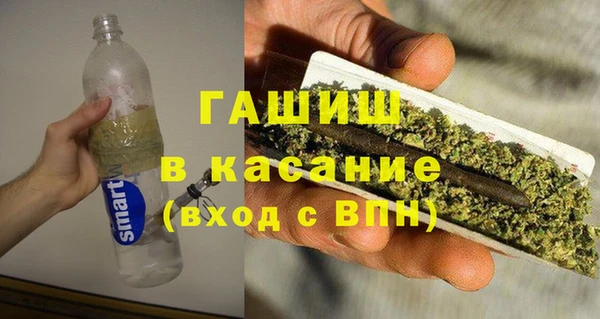 мяу мяу мука Аркадак