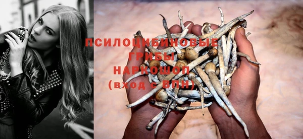 мяу мяу мука Аркадак