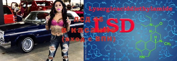 мяу мяу мука Аркадак