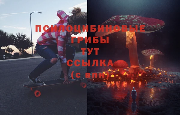 a pvp Арсеньев