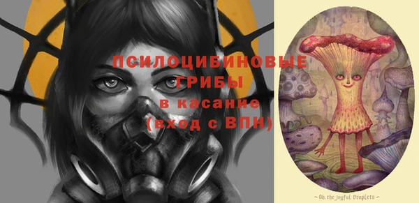 мяу мяу мука Аркадак