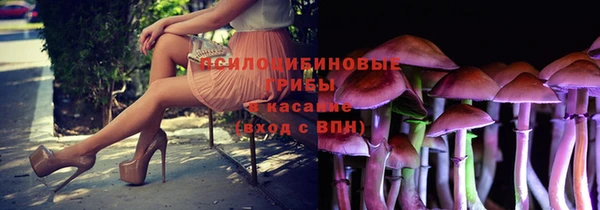 мяу мяу мука Аркадак