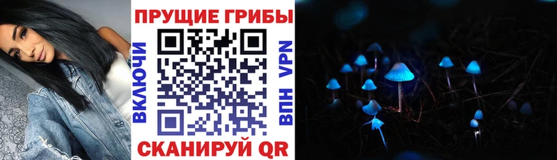 Галлюциногенные грибы Magic Shrooms  Луза 